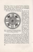 Danzel, Theodor-Wilhelm: Magie und Geheimwissenschaft in Ihrer Bedeutung für Kultur und Kulturgeschi...