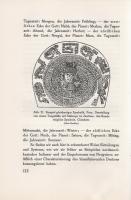 Danzel, Theodor-Wilhelm: Magie und Geheimwissenschaft in Ihrer Bedeutung für Kultur und Kulturgeschi...