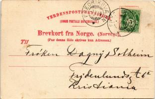 1909 Vaage, Vage; Fuglesaeter (EK)