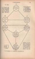 Blavatsky, H[elena] P[etrovna]: A titkos tanítás. The Secret Doctrine. A tudomány, a vallás és a fil...