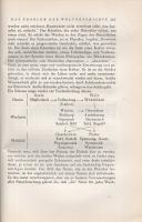 Spengler, Oswald: Der Untergang des Abendlandes. [A Nyugat alkonya.] Umrisse einer Morphologie der W...