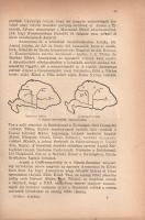 Erdélyi László: Árpádkor. A magyar állam, társadalom, művelődés legrégibb története 1301-ig.
Budape...