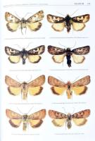 The Witt Catalogue. A Taxonomic Atlas of the Eurasian and North African Noctuoidea. Volume 6: Noctui...