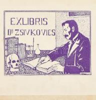 Schmidt T.: A boncztan alapvonalai kórodai gyakornokok és fiatal orvosok számára. Ford: Id. Dr. Purj...