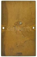 Berán Nándor (1889-1965) 1934. "Orsz. Frontharcos Szöv. Auto és Motorsport Osztálya" egyol...