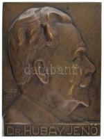 Zombori Kiss István (1902-1953) Dr. Hubay Jenő egyoldalas bronz lemezplakett, hátoldalon rögzítésre szolgáló csavarral (117x88cm) T:AU,XF