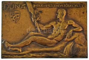 Berán Lajos (1882-1943) 1941. DUNA - Budapesti Evezős Egylet bronz emlékplakett, hátoldalon TEDESCO Díj 1941. II. gravírozással (40x59mm) T:AU,XF