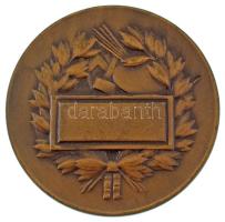 Vincze Dénes (1924-1972) DN "Céhbeliek Magyar Képzőművészeti Társasága" kétoldalas bronz e...