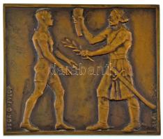 Beck Ötvös Fülöp (1873-1945) 1932. &quot;Balatoni Versenyek - Országos Testnevelési Tanács&quot; bronz sport emlékplakett (61x70mm) T:AU kis patina