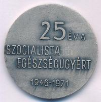 Csucs Viktória (1934-1993) 1971. "Varga Katalin Ápolónőképző Iskola / 25 év a Szocialista Egész...