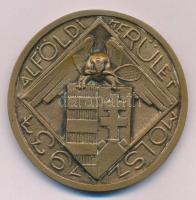 1937. "Alföldi Kerület MOLSZ (Magyar Országos Lawn Tennis Szövetség) 1937" bronz emlékérem (62mm) T:XF