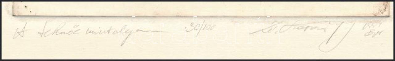 ZéKovács József (1951): A teknőc mintolyan. Rézkarc, papír, jelzett, számozott: 30/100. 19,5x15 cm