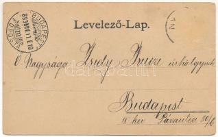 1899 (Vorläufer) Nyustya-Likér, Hnústa-Likier; gyár, kaszinó, Fő út, iroda / factory, casino, main s...