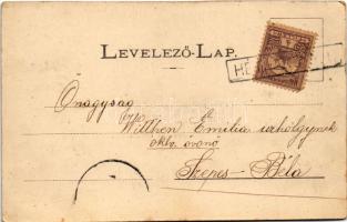 1901 Leibic, Leibitz, Lubica; Evangélikus templom, Fő utca, Rózsa menház. Lindtner Gyula kiadása / c...