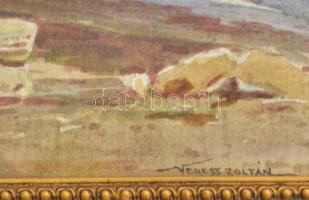 Veress Zoltán (1868-1935): Libát itató lány. Akvarell, papír, jelzett, dekoratív fakeretben, 16x21 c...