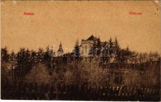 1908 Balatonkenese, villa sor. (W.L. ?) 922. (EK)