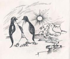 Beke Sándor: Hajóval a Déli-sarkon. ALÁÍRT! Székelyudvarhely, 1998, Erdélyi Gondolat. Kiadói papírkö...