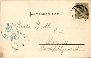 1902 Keszthely, Balatoni csónakázás. Mérei Ignác 132-1902. (EK)