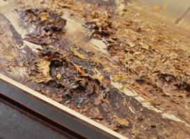 Sipos István (1945-?): Varjak a Nagyréten. Olaj, farost, plasztózus. Jelzett. Dekoratív fa keretben,...