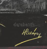 Halápy János (1893-1960): Pipázó magyar katona. Pasztell, vegyes technika, jelzett, üvegezett keretb...