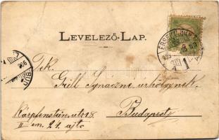 1903 Érsekújvár, Nové Zámky; Fő tér, Városháza, Arany Oroszlán szálloda, Spitzer testvérek és Komáro...