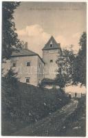 Nagyselmec (Liptó), Liptovská Stiavnica; Rakovszky kastély. Klimacek Sándor kiadása / castle (EK)