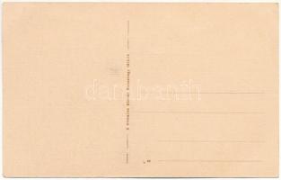 Nagyselmec (Liptó), Liptovská Stiavnica; Rakovszky kastély. Klimacek Sándor kiadása / castle (EK)