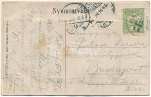 1908 Hátszeg, Hateg; Főt ér és díszkút, Hatiegana takarék- és hitelintézet, üzlet. Mester János kiad...