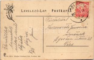 1917 Tátra, Magas-Tátra, Vysoké Tatry; Kopahágó, 1756 m. a völgy látképe a háttérben a réz tárnákkal...