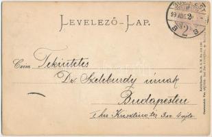 1899 (Vorläufer) Küry Klára. Stengel & Co. Ser. III. 6017. Emb (EB)