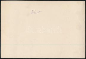 cca 1920 Trieszt utcakép, fotó, 22,5×15,5 cm / Trieste, photo