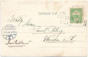 Nagymutnok, Nagy Mutnyik, Matnicu Mare (Banat); kastély + "KAVARÁN-SZÁKUL" ritka vasúti mo...