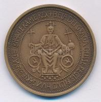 Fritz Mihály (1947-) 1983. "MÉE Szeged / 800 éves Szeged" kétoldalas, bronz emlékérem (42,...