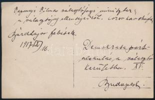 1917 Vilmos Vázsonyi (1868-1926) beszédet mond a választójogról, hátoldalon feliratozott fotólap, 14...