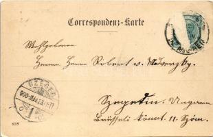 1900 Sternberk, Sternberg; Villa Rosa und Hubertus (Rb)