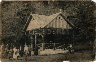 Felsővisó, Felső-Visó, Viseu de Sus; Zsófia-forrás / spa, spring source (r)