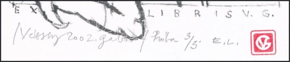 Véssey Gábor (1948-): Ex libris V.G., 2002. Litográfia, papír, jelzett, próbanyomat 3/3 számozással,...