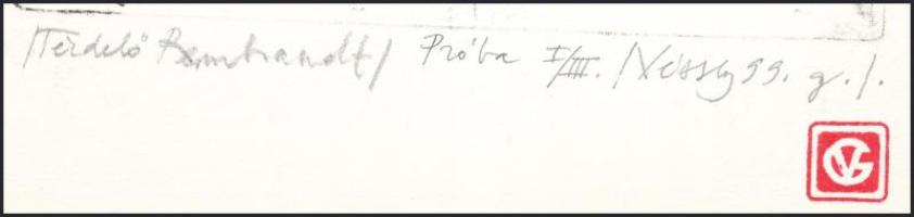 Véssey Gábor (1948-): Térdelő Rembrandt, 1999. Litográfia, papír, jelzett, próbanyomat I/III számozá...