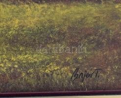 Bajor Tamás (?-): Erdőrészlet. Olaj, vászon, faroston, jelzett, keretben, hátoldalán címkén felirato...