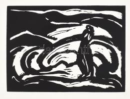 Máttis Teutsch (Mattis-Teutsch) János Linoleum-albuma. Az eredeti album MA kiadás. Facsimile kiadás,...