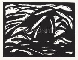 Máttis Teutsch (Mattis-Teutsch) János Linoleum-albuma. Az eredeti album MA kiadás. Facsimile kiadás,...