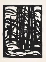 Máttis Teutsch (Mattis-Teutsch) János Linoleum-albuma. Az eredeti album MA kiadás. Facsimile kiadás,...