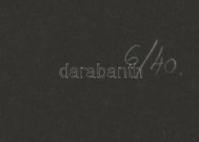 Frank Magda (1914-1997): Kompozíció sárgával. Szitanyomat, papír, jelzett, számozott (6/40), 33x18 c...