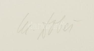 Milan Dobes (1929-): Körkörös kompozíció (cím nélkül). Szitanyomat, karton. Jelzett. Számozott: 20/5...