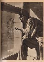 Új Idők. Társadalmi, szépirodalmi, művészeti és kritikai képes hetilap. Főszerkesztő: Benedek Marcel...