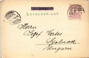 1899 (Vorläufer) Kalocsa, Stephaneum keleti és nyugati része. Art Nouveau, floral (EK)