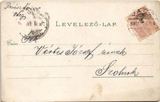 1898 (Vorläufer) Vác, Nagytemplom, fegyintézet, siketnéma intézet. Ottmar Zieher Art Nouveau, floral...