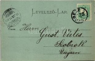 1899 (Vorläufer!), Versec, Vrsac; Rickli ház, este / Haus / villa, castle at night (EK)