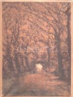 Kiss József:

Levelek hullása. Falus Elek rajzaival. [Újabb költemények.]
Budapest, 1908. Singer ...