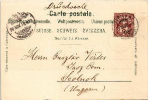 1898 (Vorläufer) Zürich, Blick auf den See / lake. Carl Künzli floral, litho